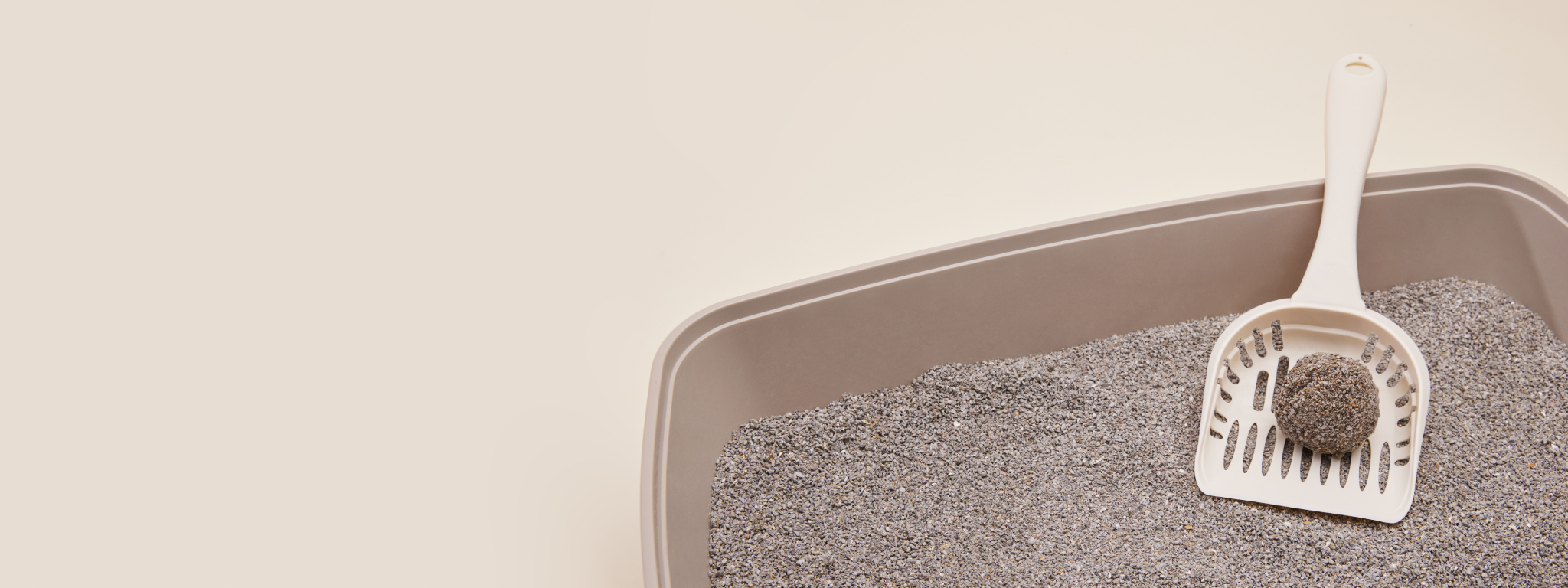 ingredients-hero-banner_desktop_2f066b44-2f2c-4aeb-a365-5da8e6fe451d.png