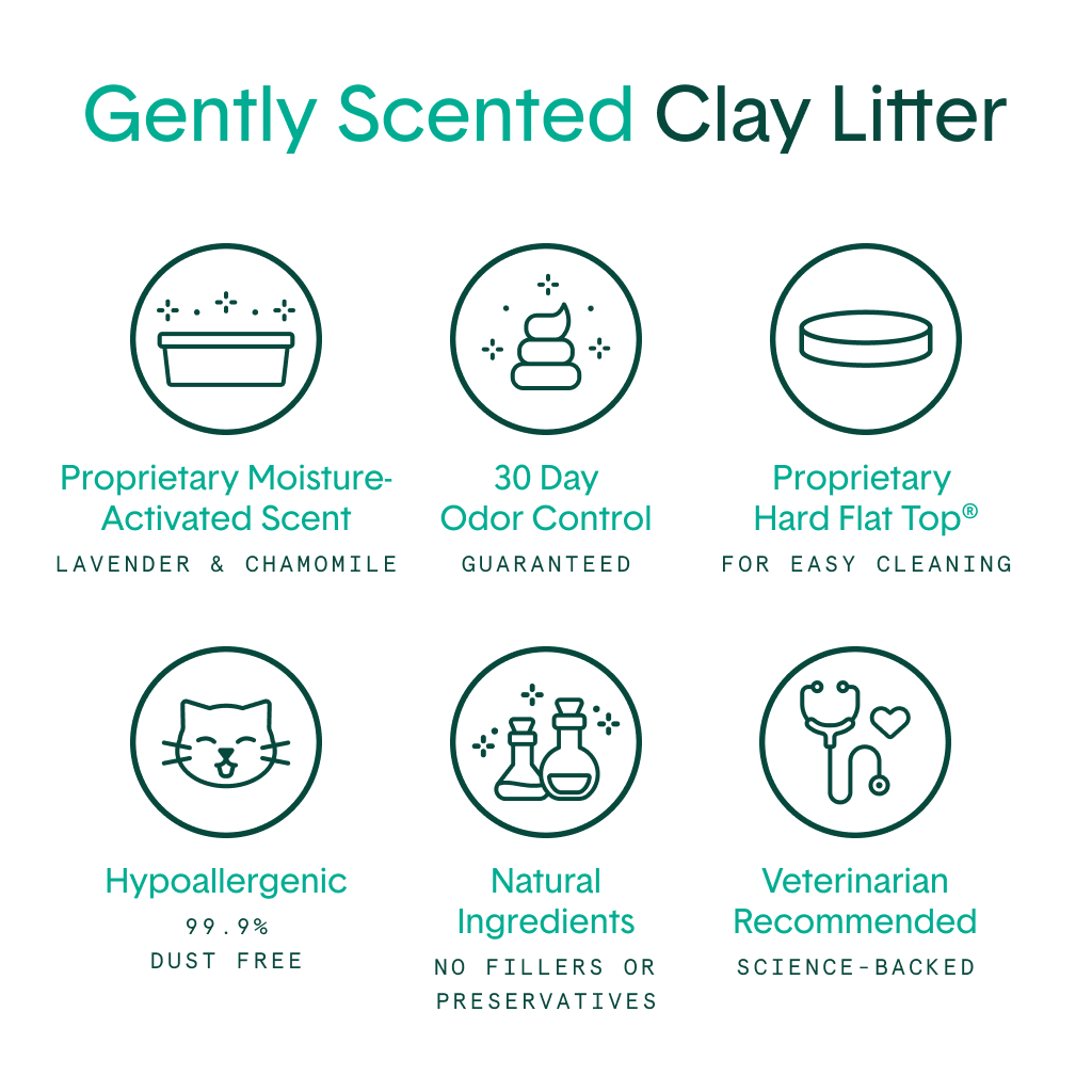 Gently Scented Natural Clumping Clay Cat Litter