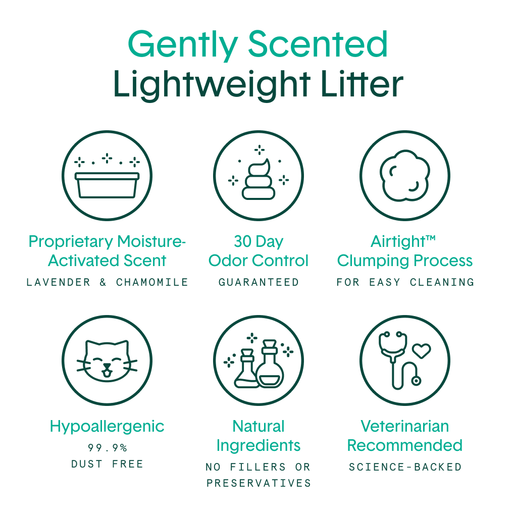 Gently Scented Lightweight Plant-Based Cat Litter