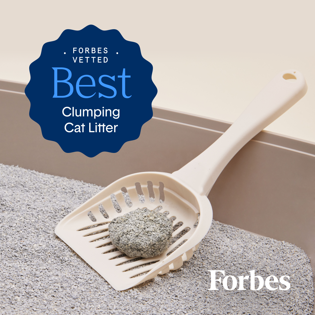 Extra Strength Multi-Cat Clumping Clay Litter