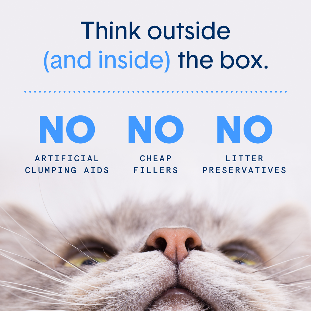 Extra Strength Multi-Cat Clumping Clay Litter