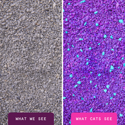 Glo™ Natural Attractions™ Clumping Clay Cat Litter