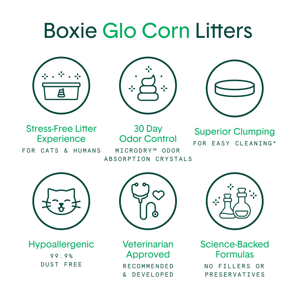 Glo™ Natural Attractions™ Clumping Corn Cat Litter