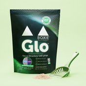 Glo™ Natural Attractions™ Clumping Corn Cat Litter