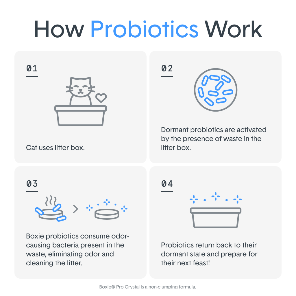 SELF CLEANING LITTER™ with Probiotic Clumping Clay