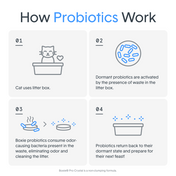 SELF CLEANING LITTER™ with Probiotic Clumping Clay